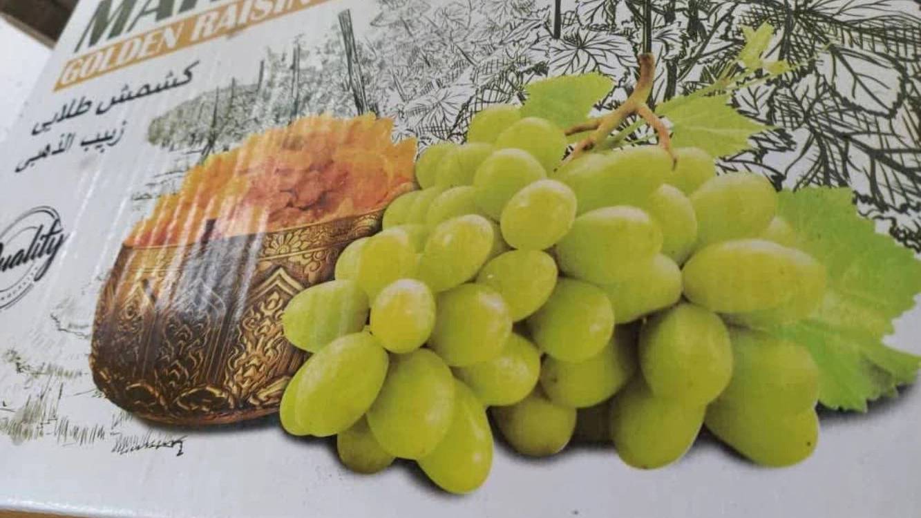 بازرگانی ریموند بازرگانی ریموند