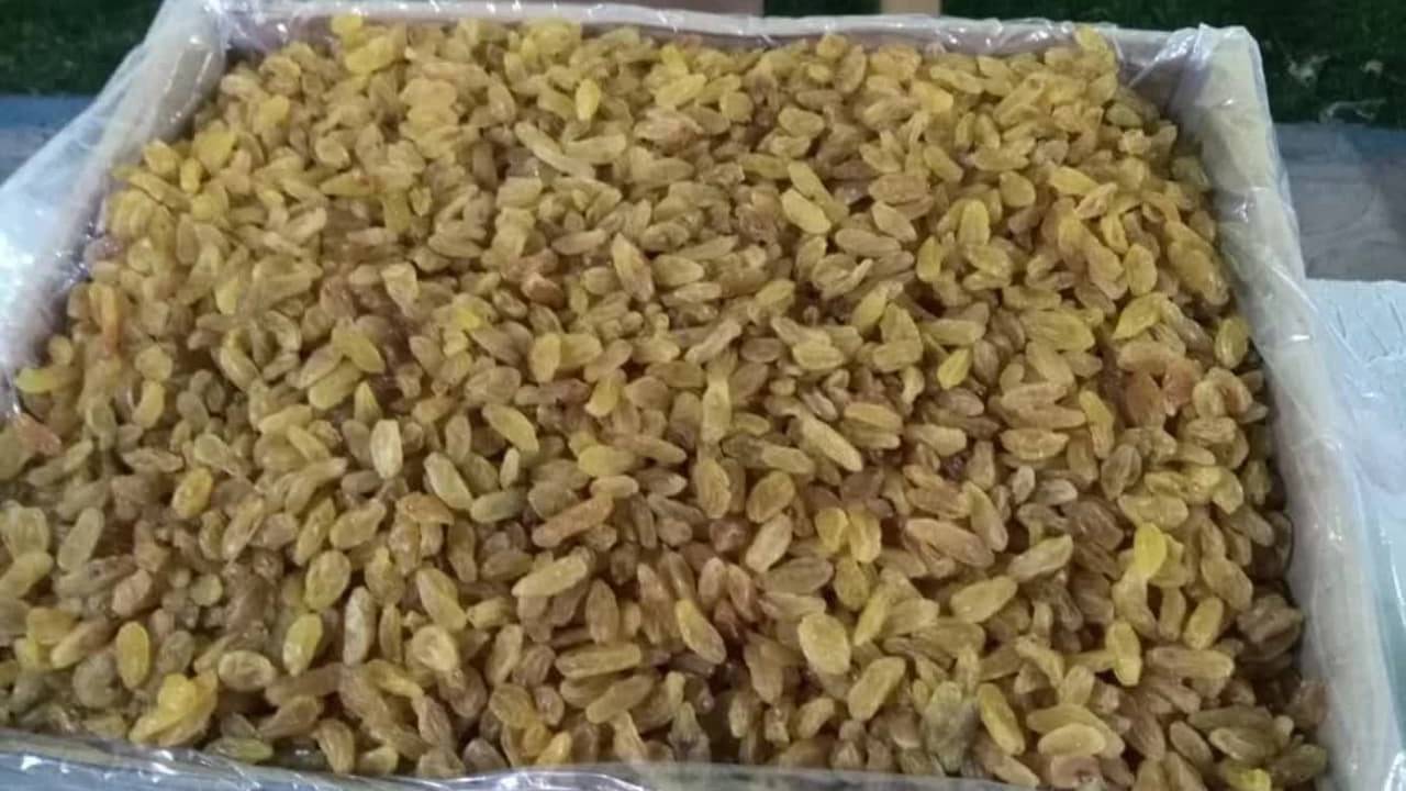 بازرگانی ریموند بازرگانی ریموند