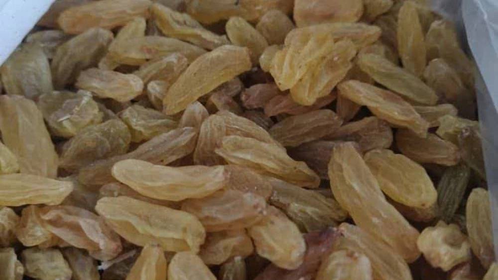 بازرگانی ریموند بازرگانی ریموند