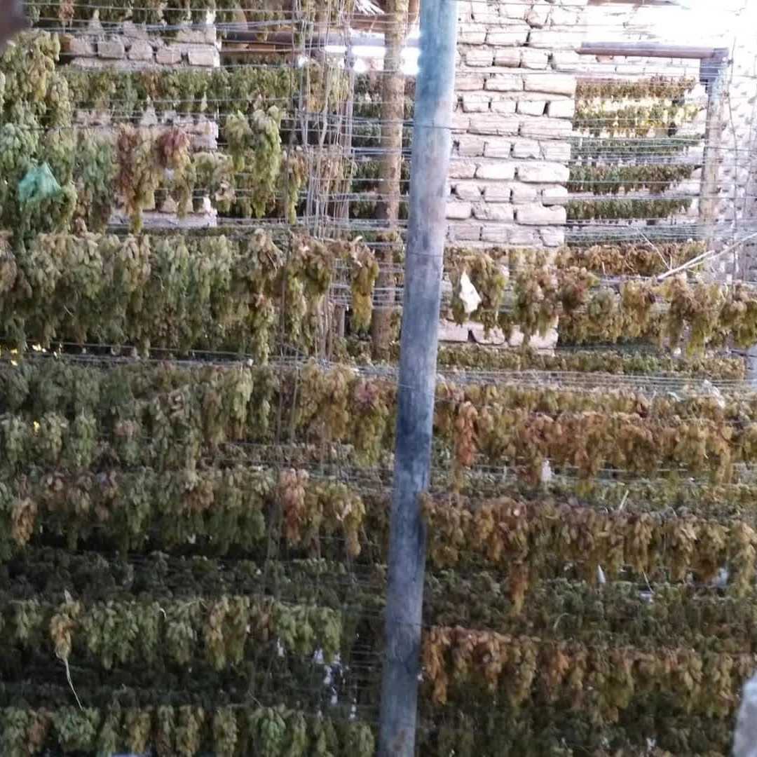 1750057711951.webp 1750057711951.webp