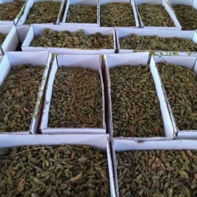 1750057718930.webp 1750057718930.webp